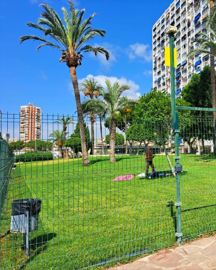Apartmán Comfortable Studio With Sea View Benidorm Exteriér fotografie